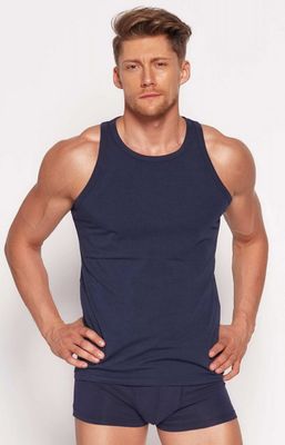 T-shirt męski sportowy Henderson ze sklepu: Primodo w kategorii: T-shirty męskie - zdjęcie A0D05E-522-13421_43422
