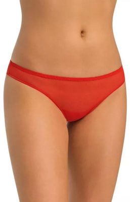 Teyli - Majtki damskie klasyczne ze sklepu: Primodo w kategorii: Majtki damskie - zdjęcie A0D05E-522-13421_144127