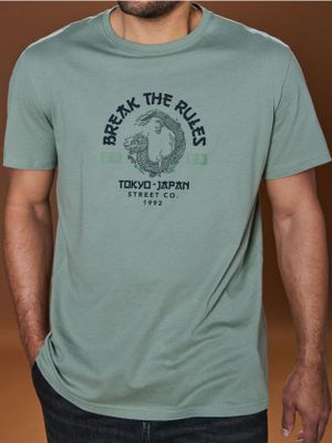 T-shirt męski ze sklepu: Sinsay w kategorii: T-shirty męskie - zdjęcie CC22A15-4CA-6968_1033Z