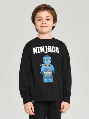 Bluza chłopięca Sinsay ze sklepu: Sinsay w kategorii: Bluzy chłopięce - zdjęcie CC22A15-4CA-6968_124FC
