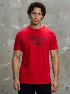 T-shirt męski na lato ze sklepu: Sinsay w kategorii: T-shirty męskie - zdjęcie CC22A15-4CA-6968_250HL
