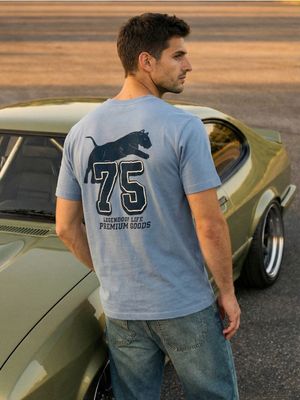 T-shirt męski ze sklepu: Sinsay w kategorii: T-shirty męskie - zdjęcie CC22A15-4CA-6968_269HL