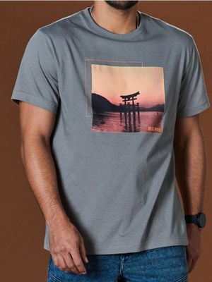 T-shirt męski ze sklepu: Sinsay w kategorii: T-shirty męskie - zdjęcie CC22A15-4CA-6968_4976F