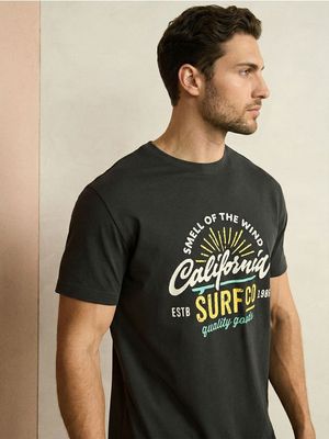 T-shirt męski letni ze sklepu: Sinsay w kategorii: T-shirty męskie - zdjęcie CC22A15-4CA-6968_615JD