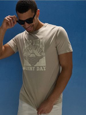 T-shirt męski ze sklepu: Sinsay w kategorii: T-shirty męskie - zdjęcie CC22A15-4CA-6968_618JD