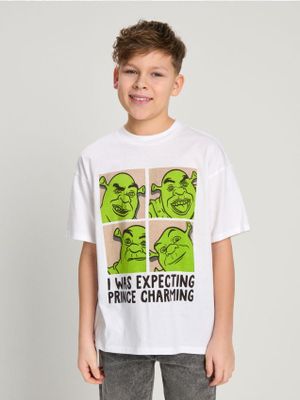 Sinsay - T-shirt chłopięce młodzieżowy na lato ze sklepu: Sinsay w kategorii: T-shirty chłopięce - zdjęcie CC22A15-4CA-6968_799DM