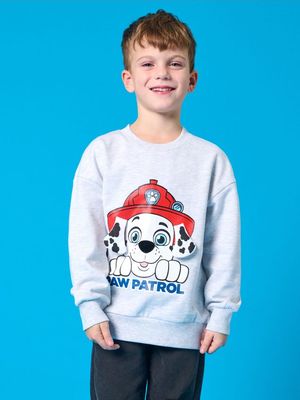 Bluza chłopięca młodzieżowy Sinsay ze sklepu: Sinsay w kategorii: Bluzy chłopięce - zdjęcie CC22A15-4CA-6968_800CG