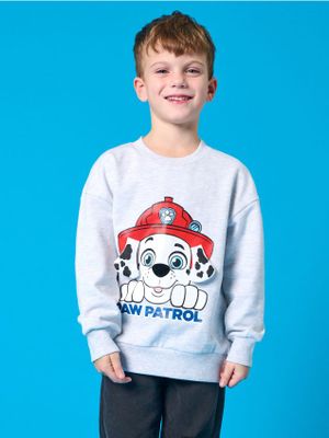 Bluza chłopięca ze sklepu: Sinsay w kategorii: Bluzy chłopięce - zdjęcie CC22A15-4CA-6968_800CG