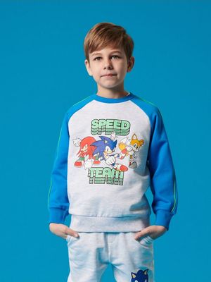 Bluza chłopięca na wiosnę ze sklepu: Sinsay w kategorii: Bluzy chłopięce - zdjęcie CC22A15-4CA-6968_821DM
