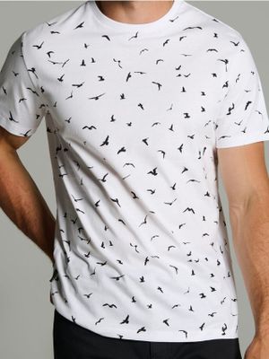 T-shirt męski ze sklepu: Sinsay w kategorii: T-shirty męskie - zdjęcie CC22A15-4CA-6968_829GP
