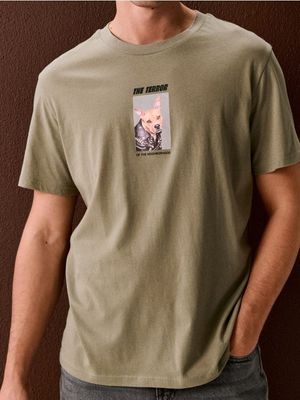 T-shirt męski ze sklepu: Sinsay w kategorii: T-shirty męskie - zdjęcie CC22A15-4CA-6968_871GP