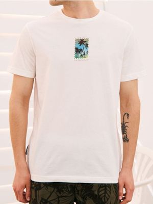 T-shirt męski na wiosnę ze sklepu: Sinsay w kategorii: T-shirty męskie - zdjęcie CC22A15-4CA-6968_9687I