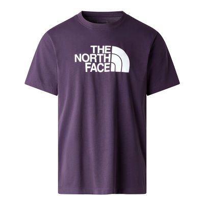 T-shirt męski na lato The North Face ze sklepu: streetstyle24.pl w kategorii: T-shirty męskie - zdjęcie E12E2BE-C1C-9438_3242327