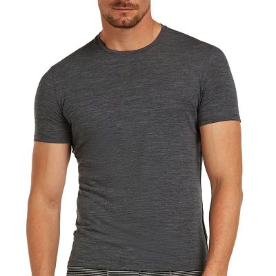T-shirt męski na lato Icebreaker ze sklepu: streetstyle24.pl w kategorii: T-shirty męskie - zdjęcie E12E2BE-C1C-9438_3243343