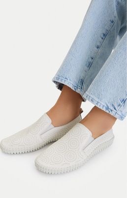 Buty sportowe damskie wiosenne Go Soft ze sklepu: eobuwie.pl w kategorii: Buty sportowe damskie - zdjęcie WP-EBWP-9KUZS-09B_5906751669624