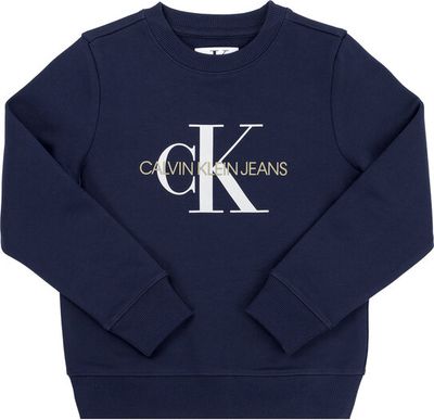 Bluza chłopięca Calvin Klein Jeans ze sklepu: MODIVO w kategorii: Bluzy chłopięce - zdjęcie WP-EBWP-BKLVO-LN0_0000206489302