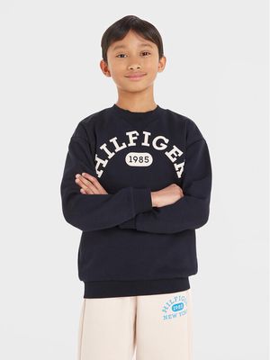 Bluza chłopięca jesienna Tommy Hilfiger ze sklepu: MODIVO w kategorii: Bluzy chłopięce - zdjęcie WP-EBWP-BKLVO-LN0_0000302809165