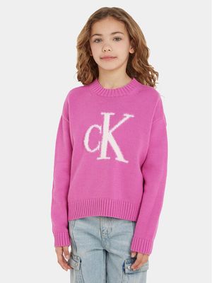 Sweter dziewczęcy Calvin Klein Jeans ze sklepu: MODIVO w kategorii: Swetry dziewczęce - zdjęcie WP-EBWP-BKLVO-LN0_0000302818082