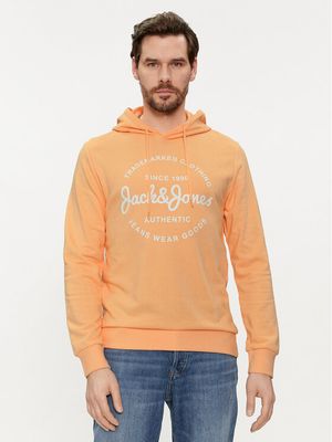 Bluza męska casual Jack & Jones ze sklepu: MODIVO w kategorii: Bluzy męskie - zdjęcie WP-EBWP-BKLVO-LN0_0000303311322