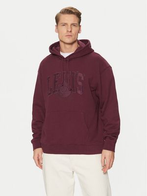 Bluza męska sportowa casual Levi's® ze sklepu: MODIVO w kategorii: Bluzy męskie - zdjęcie WP-EBWP-BKLVO-LN0_0000304238871