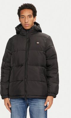 Kurtka męska zimowa Dickies ze sklepu: MODIVO w kategorii: Kurtki męskie - zdjęcie WP-EBWP-BKLVO-LN0_0000304439858