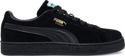 Buty sportowe męskie jesienne Puma ze sklepu: MODIVO w kategorii: Buty sportowe męskie - zdjęcie WP-EBWP-BKLVO-LN0_0000304556630