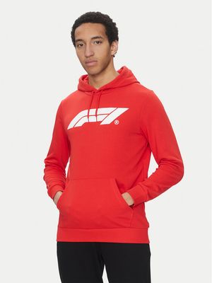 Bluza męska na jesień Puma ze sklepu: MODIVO w kategorii: Bluzy męskie - zdjęcie WP-EBWP-BKLVO-LN0_0000304576614