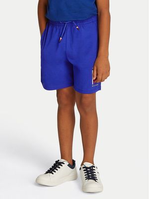 Spodenki chłopięce zimowe Tommy Hilfiger ze sklepu: MODIVO w kategorii: Spodenki chłopięce - zdjęcie WP-EBWP-BKLVO-LN0_0000304662737