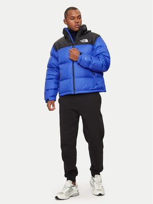 Kurtka męska na zimę The North Face ze sklepu: MODIVO w kategorii: Kurtki męskie - zdjęcie WP-EBWP-BKLVO-LN0_0000304944642