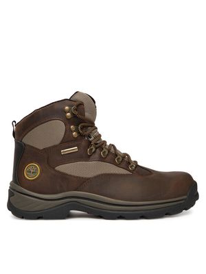 Buty trekkingowe męskie Timberland ze sklepu: MODIVO w kategorii: Buty trekkingowe męskie - zdjęcie WP-EBWP-BKLVO-LN0_0000305585264