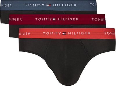 Majtki męskie wiosenny Tommy Hilfiger ze sklepu: MODIVO w kategorii: Majtki męskie - zdjęcie WP-EBWP-BKLVO-LN0_0000305744012