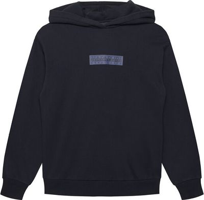 Bluza chłopięca jesienna na zimę Napapijri ze sklepu: MODIVO w kategorii: Bluzy chłopięce - zdjęcie WP-EBWP-BKLVO-LN0_0000306309029