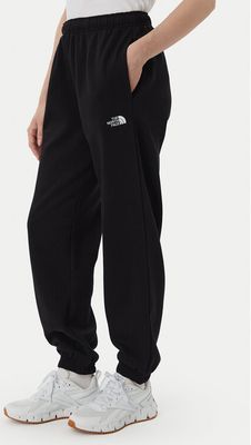 Spodnie damskie The North Face ze sklepu: MODIVO w kategorii: Spodnie damskie - zdjęcie WP-EBWP-BKLVO-LN0_0000306310872