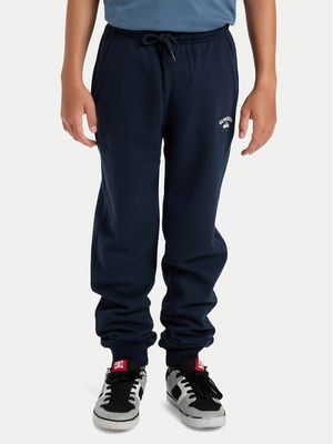 Spodnie chłopięce sportowy Quiksilver ze sklepu: MODIVO w kategorii: Spodnie chłopięce - zdjęcie WP-EBWP-BKLVO-LN0_2230099207839